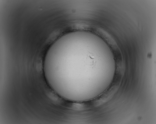 X0000103970457200809261838