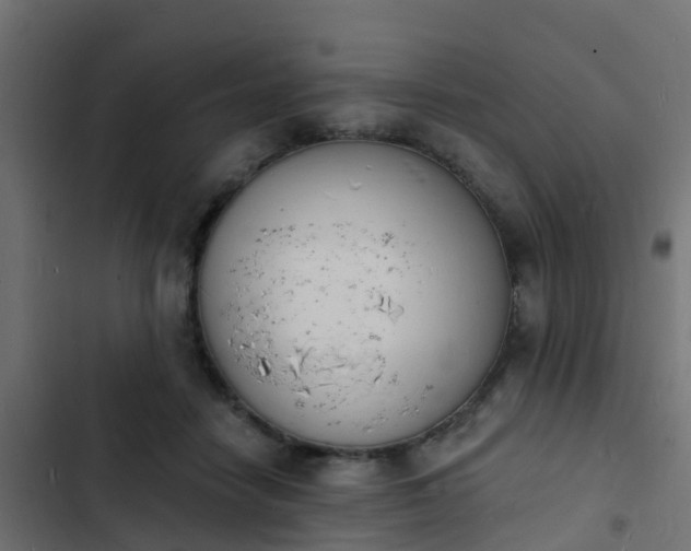 X0000103970458200809261838