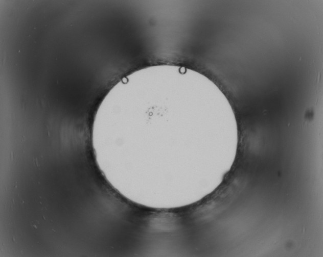 X0000103970459200809261838