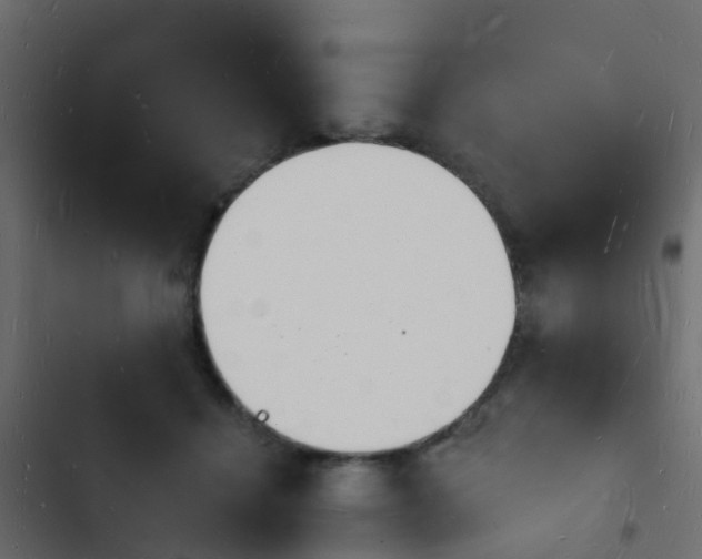 X0000103970460200809261838