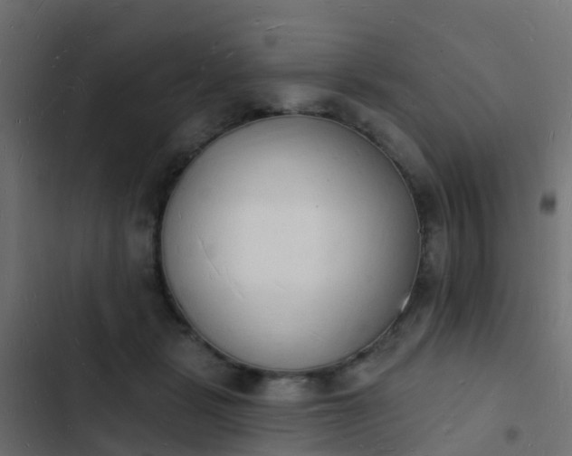 X0000103970461200809261838