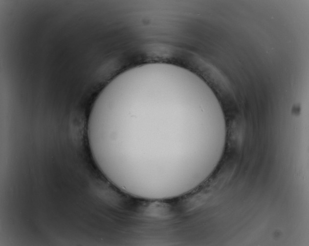 X0000103970463200809261838