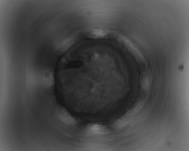 X0000103970467200809261838