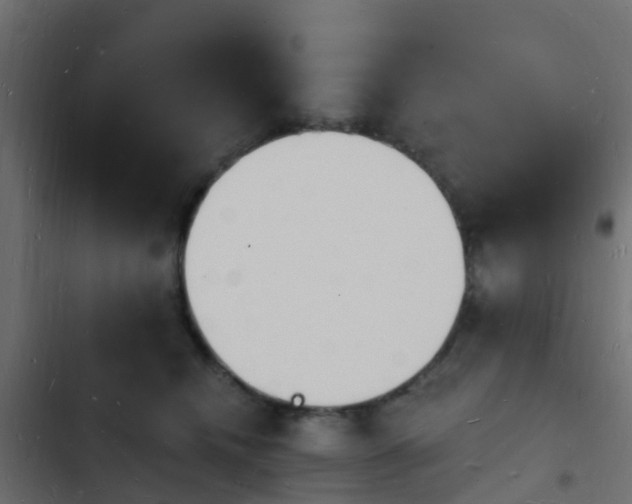 X0000103970468200809261838