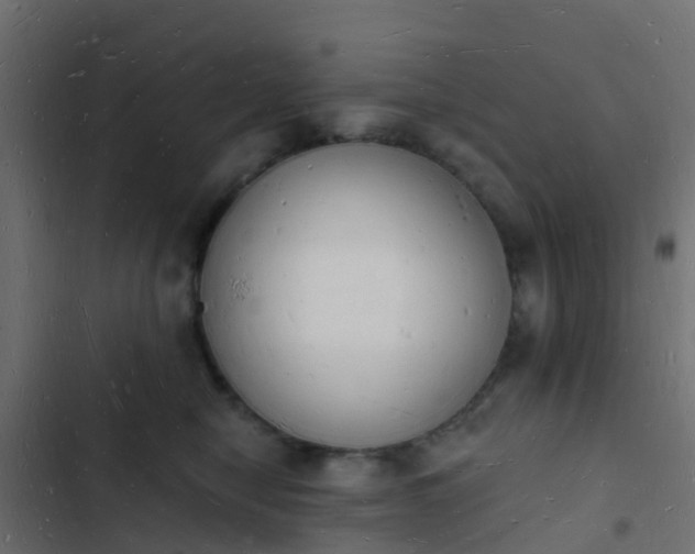 X0000103970470200809261838