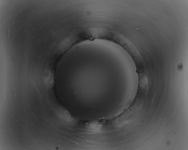 X0000103970471200809261838