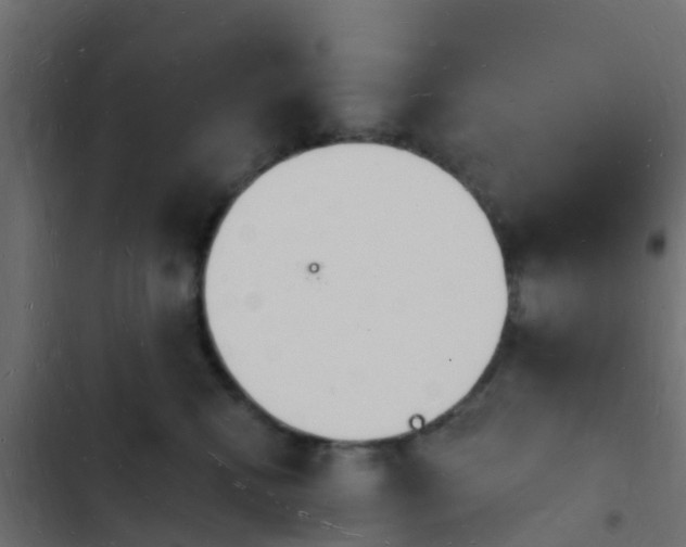 X0000103970472200809261838