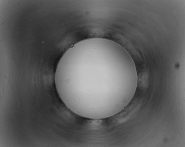 X0000103970474200809261838