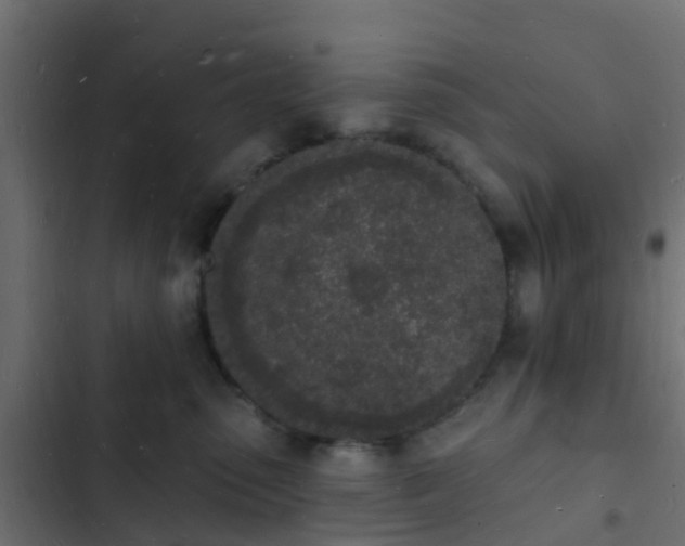 X0000103970475200809261838