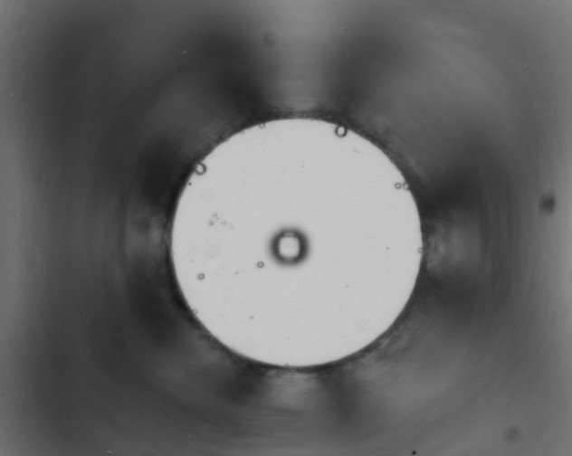 X0000103970476200809261838