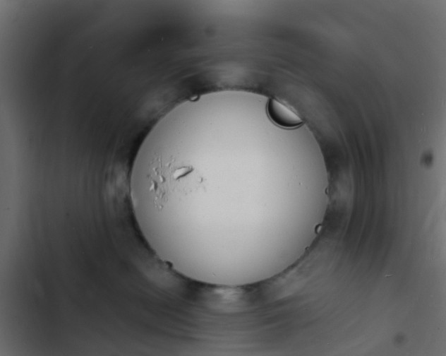 X0000103970478200809261838