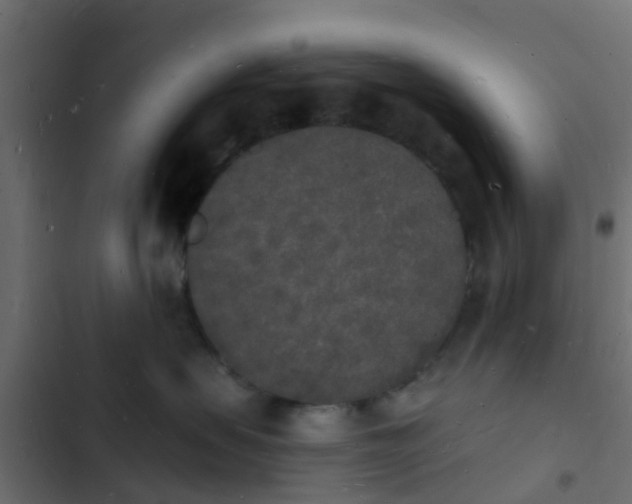 X0000103970479200809261838