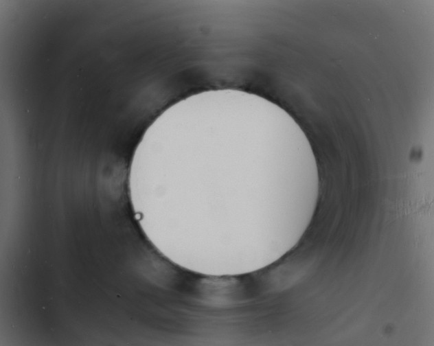 X0000103970480200809261838