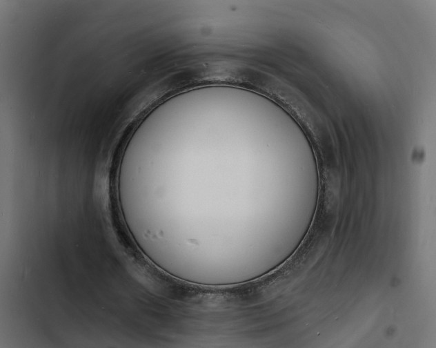 X0000103970482200809261837