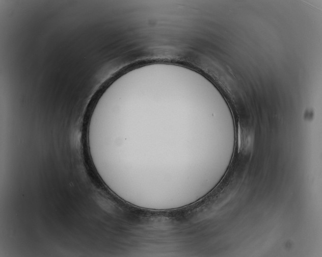 X0000103970483200809261837