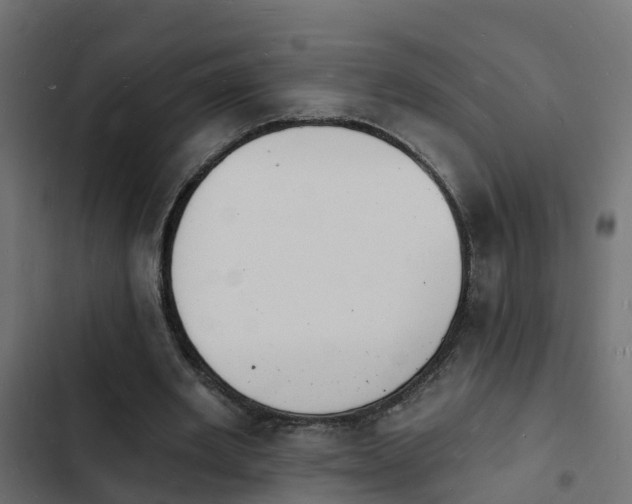 X0000103970485200809261837