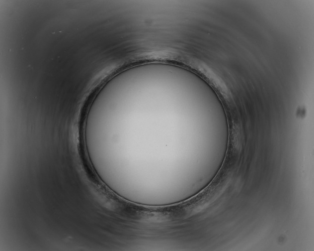 X0000103970486200809261837