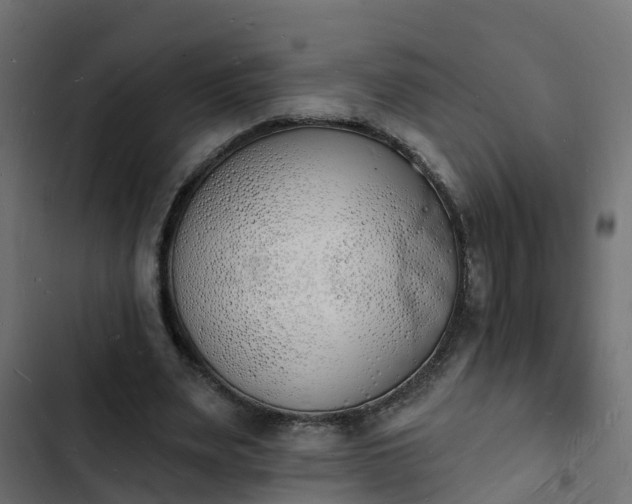 X0000103970487200809261837