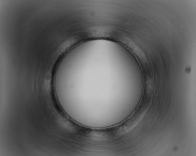 X0000103970490200809261837