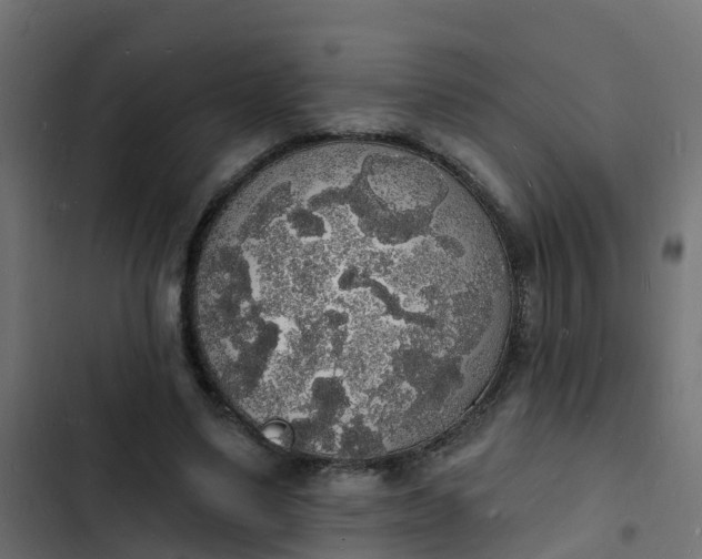 X0000103970491200809261837