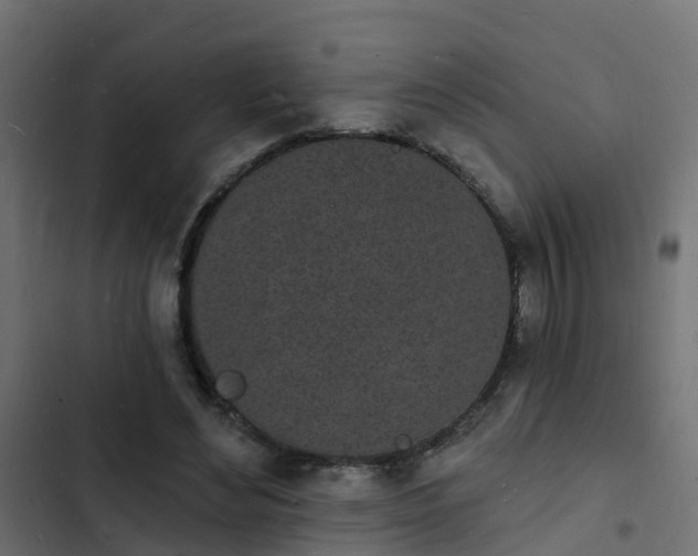 X0000103970492200809261837