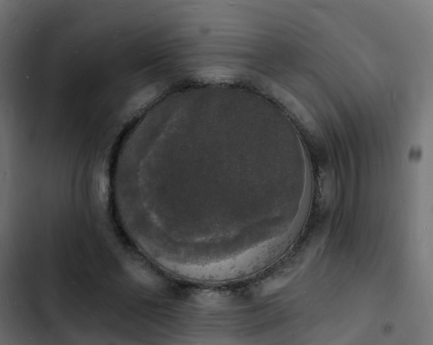 X0000103970494200809261837