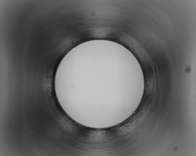 X0000103970497200809261837