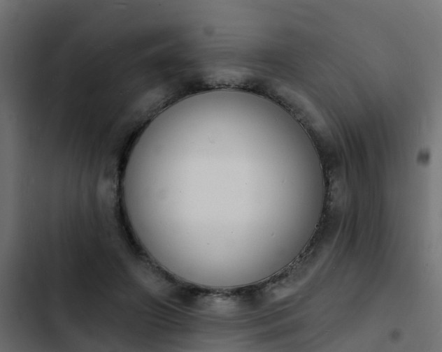 X0000103970498200809261837