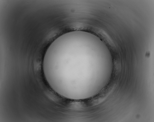 X0000103970499200809261837