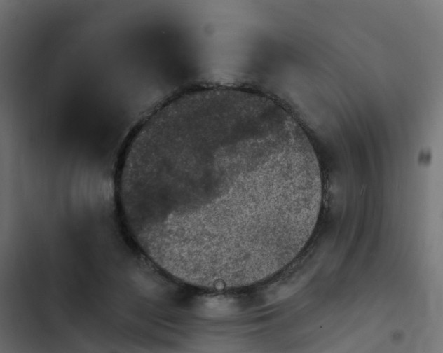 X0000103970500200809261837