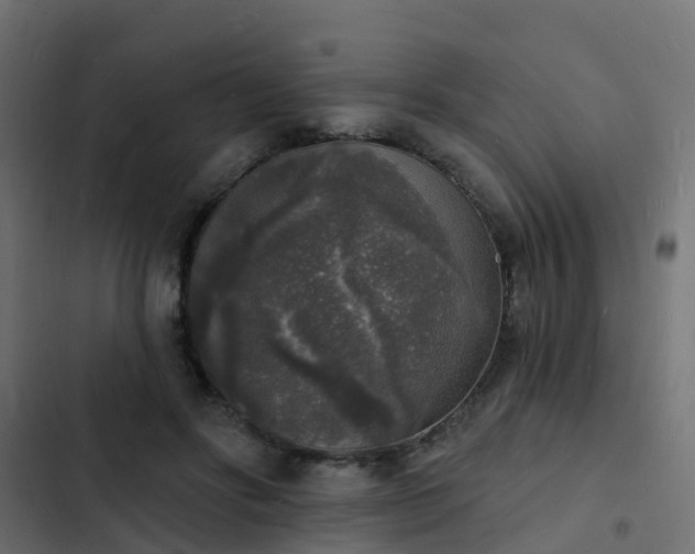 X0000103970502200809261837