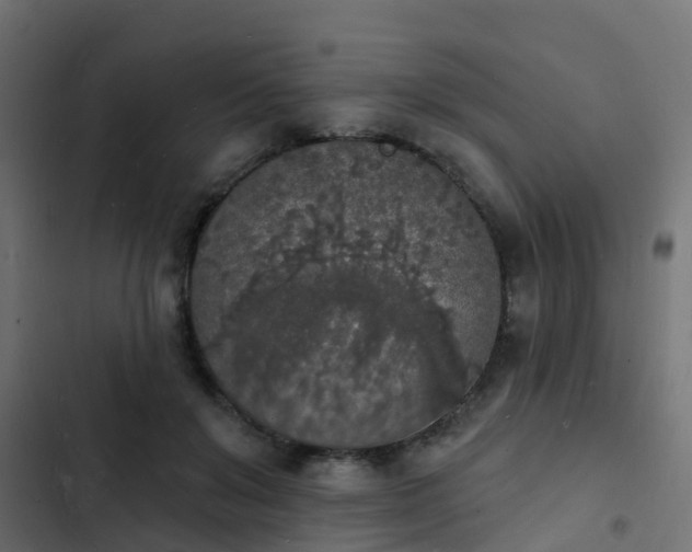 X0000103970503200809261837