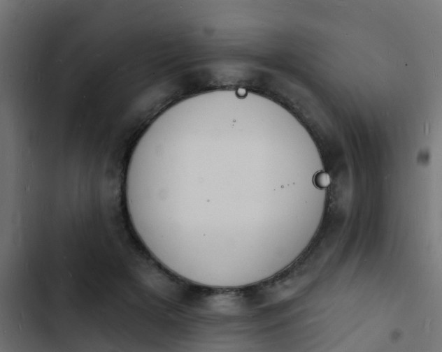 X0000103970505200809261837