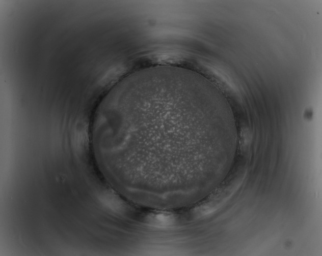 X0000103970506200809261837