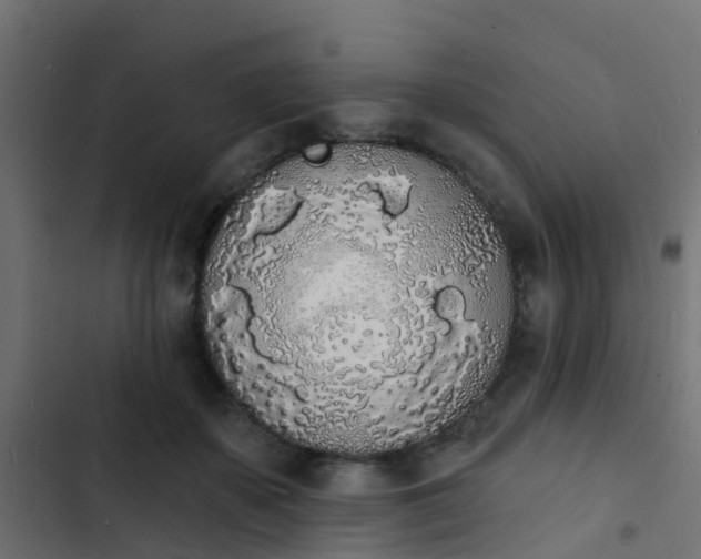 X0000103970507200809261837