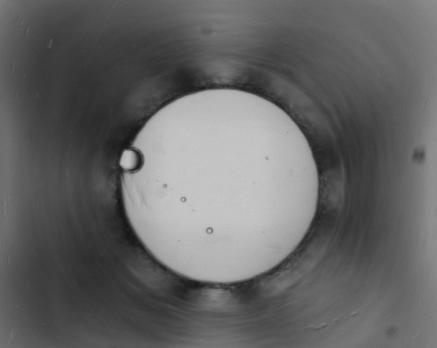 X0000103970509200809261837