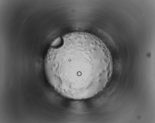 X0000103970511200809261837