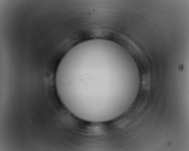 X0000103970514200809261837