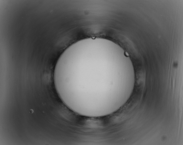 X0000103970515200809261837