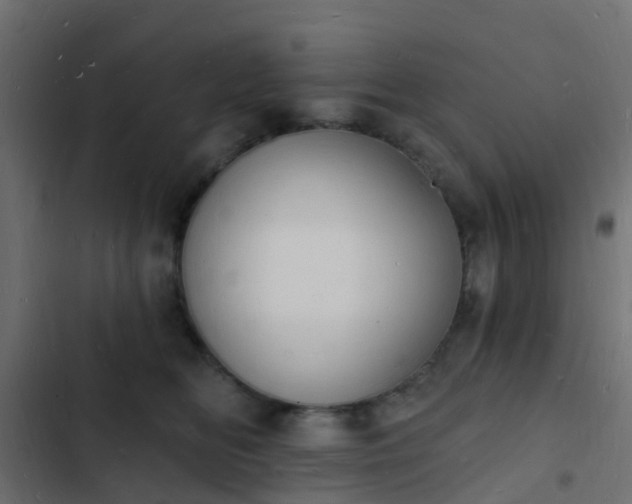 X0000103970518200809261837