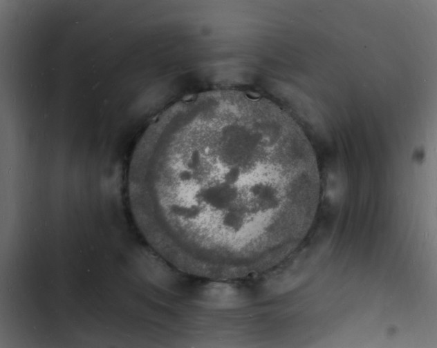 X0000103970519200809261837