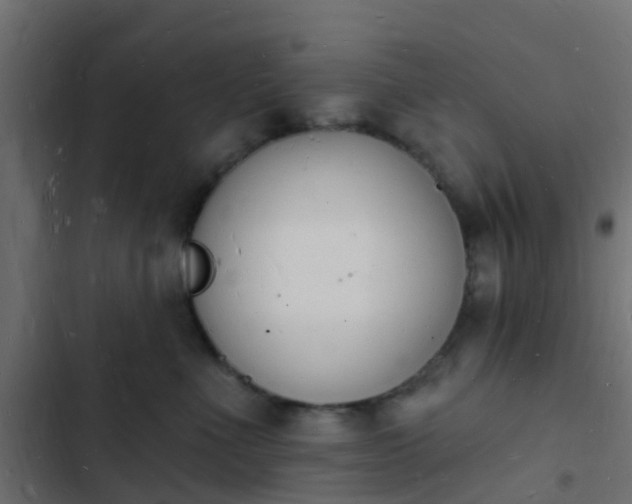 X0000103970523200809261837