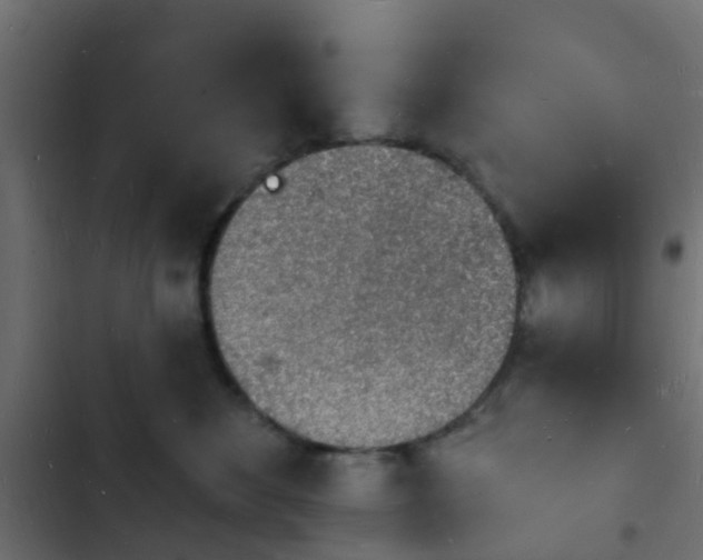 X0000103970524200809261837