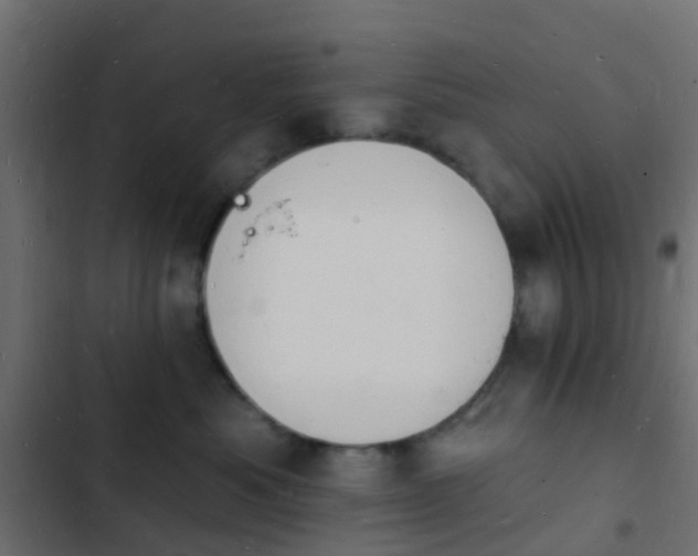 X0000103970525200809261837