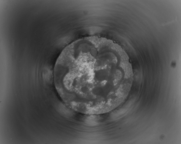 X0000103970527200809261837