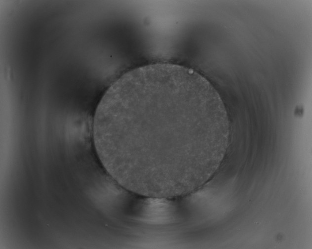 X0000103970528200809261837