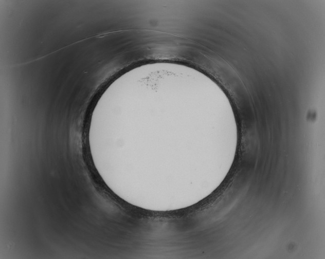 X0000103970530200809261836