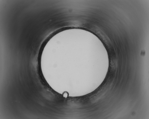 X0000103970532200809261836