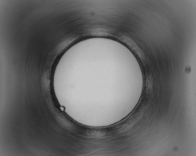 X0000103970533200809261836