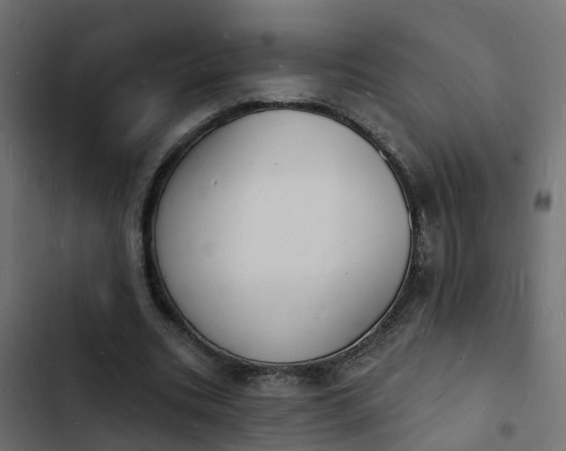 X0000103970535200809261836